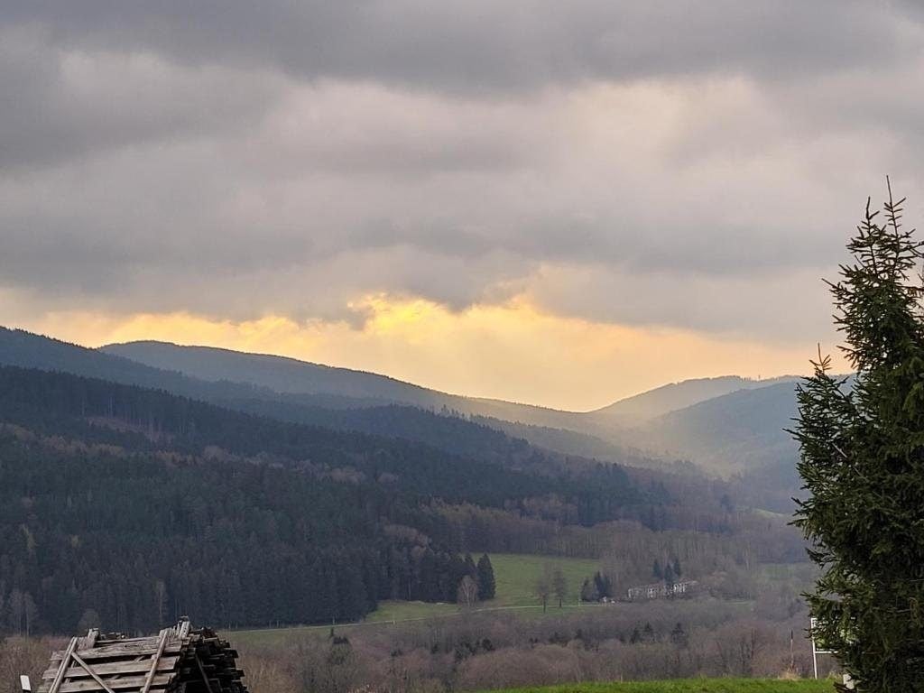Soumrak nad zalesněným údolím Šumavy, mezi mraky prosvítá zlaté světlo