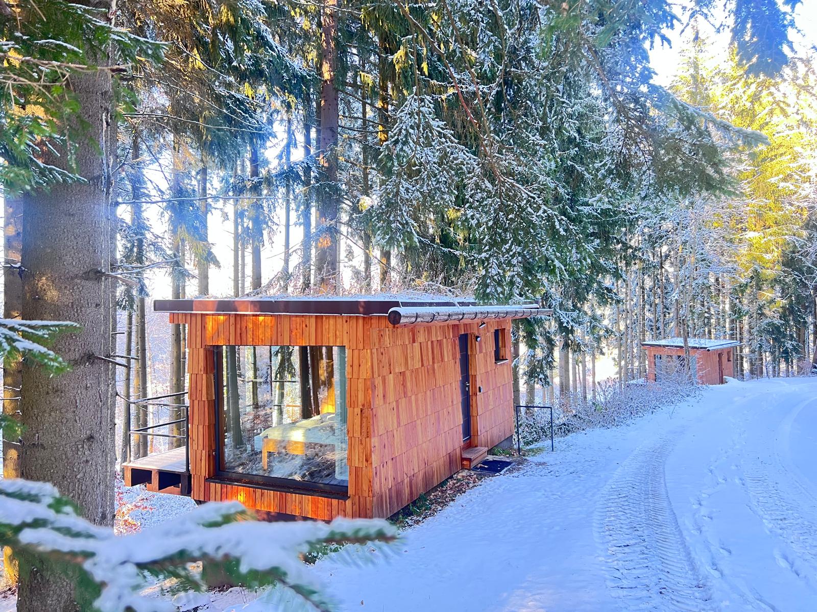 Tiny house v zasněženém smrkovém lese, prosklenou stěnou svítí teplé světlo