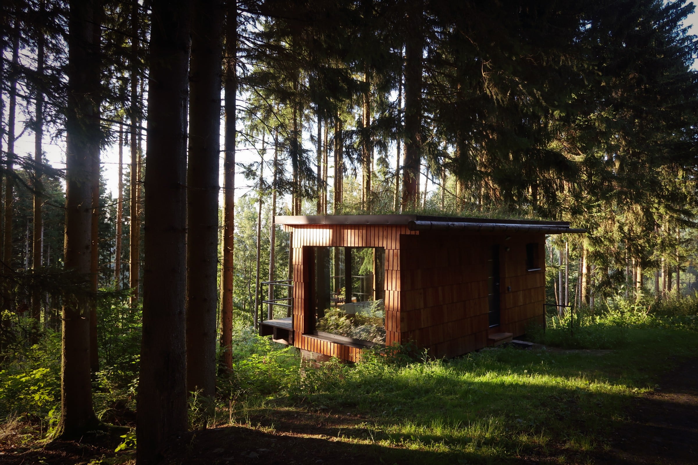 Tiny house s prosklenou stěnou mezi smrky, odpolední slunce v lese