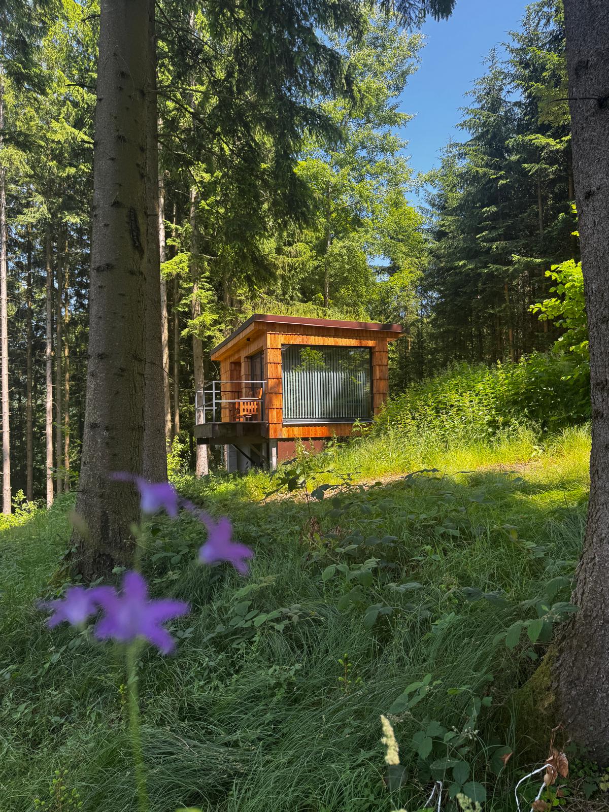 Tiny house na svahu mezi smrky, v popředí fialové zvonky v trávě