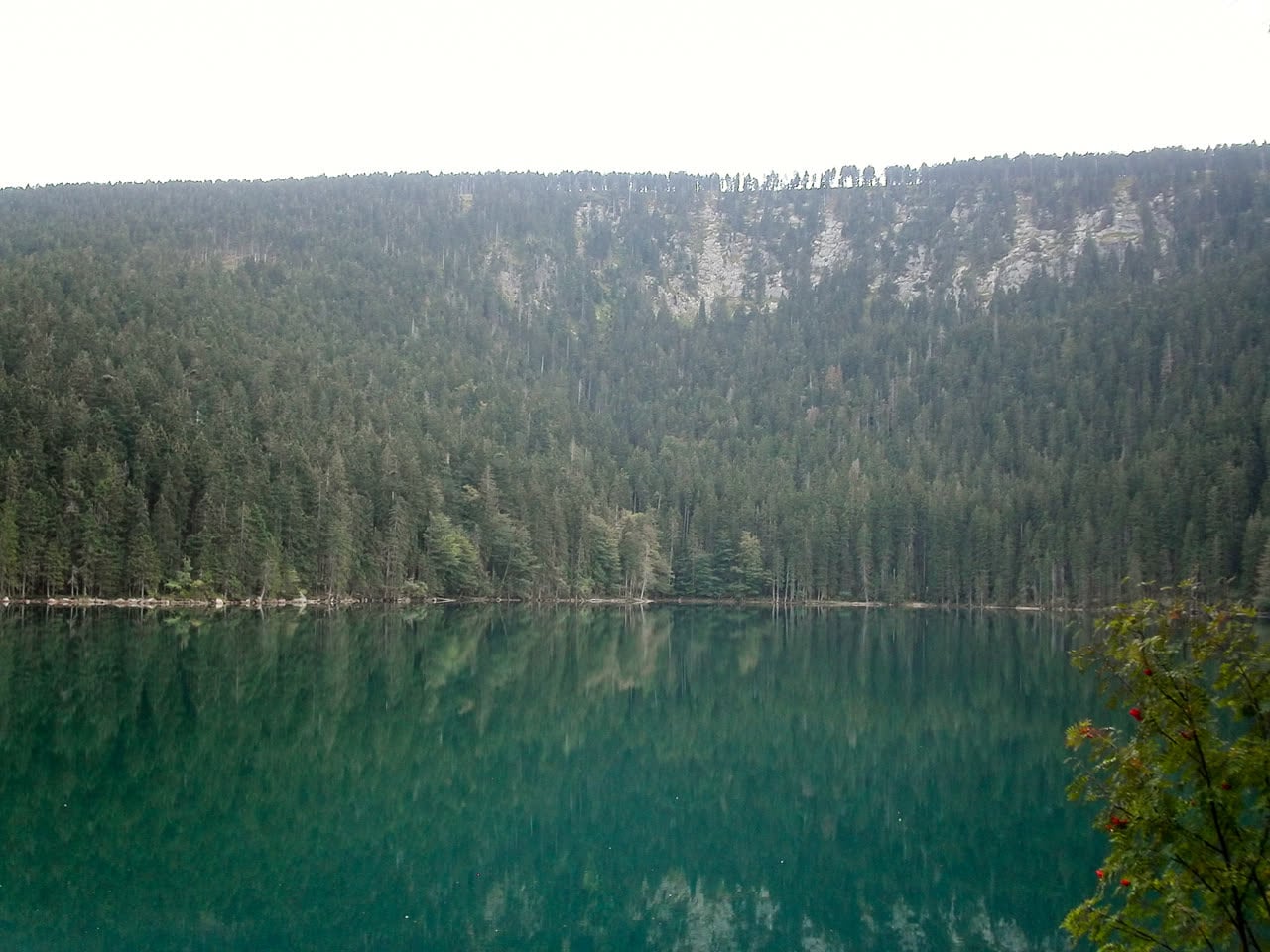 Černé jezero pod zalesněnou jezerní stěnou